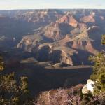 Gran Canyon National Park   Arizona 